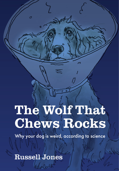 Cover of The Wolf That Chews Rocks